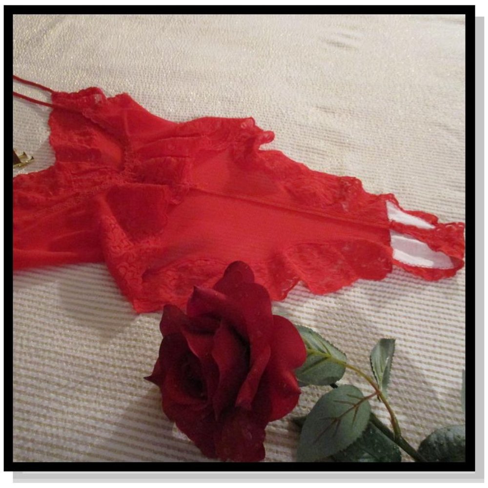 💥SOLD💥VS RED LACE NET BACKLESS THONG BODY SUIT - Picture 5 of 9